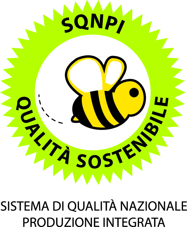 api sostenibilità